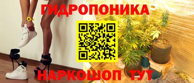 молекула духа Краснознаменск