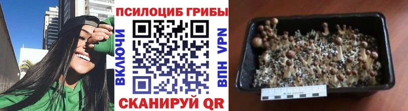 Галлюциногенные грибы прущие грибы Новоуральск