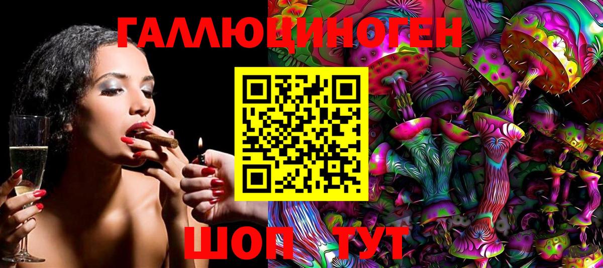 Галлюциногенные грибы Psilocybine cubensis Новоуральск